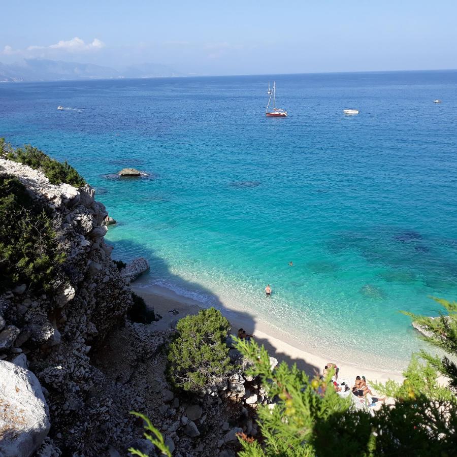 Fenu Hébergement de vacances Irgoli